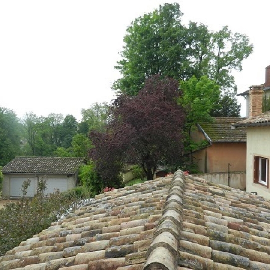  DUCASTEL IMMOBILIER : Appartement | MACON (71000) | 15 m2 | 325 € 