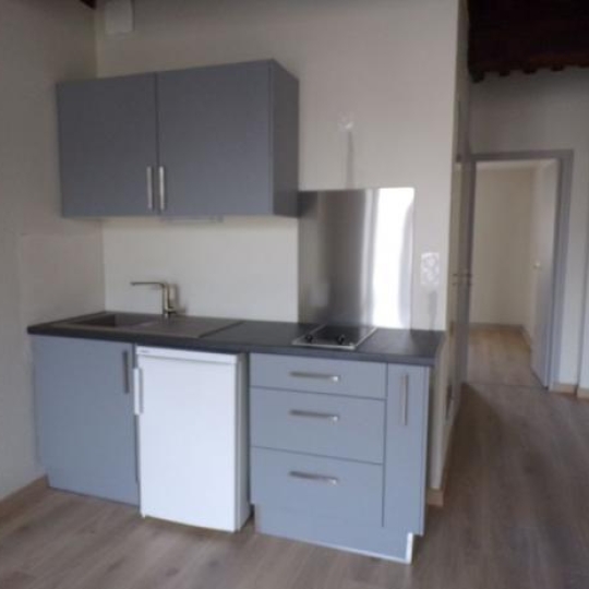  DUCASTEL IMMOBILIER : Appartement | MACON (71000) | 45 m2 | 435 € 