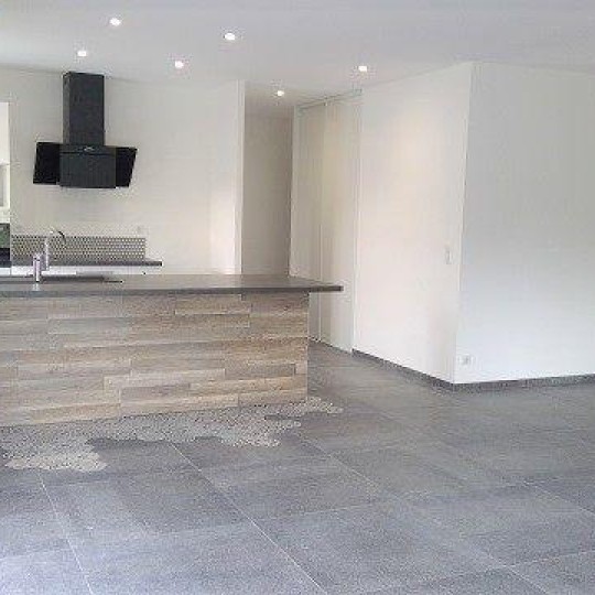 DUCASTEL IMMOBILIER : Autres | IGE (71960) | 115 m2 | 1 200 € 