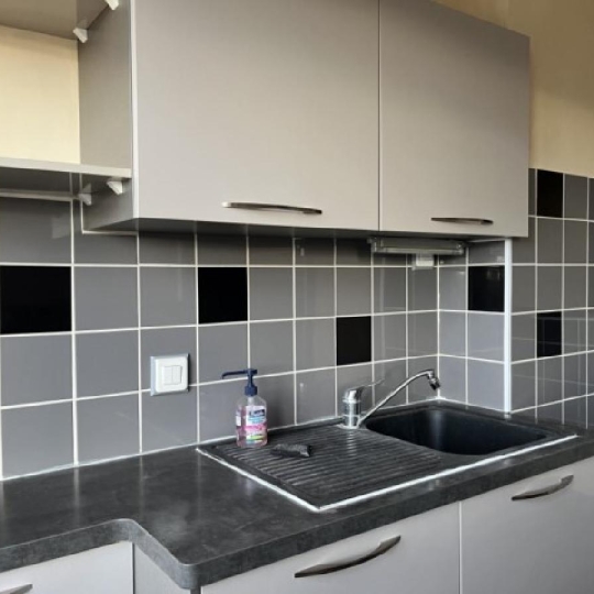  DUCASTEL IMMOBILIER : Appartement | MACON (71000) | 49 m2 | 590 € 