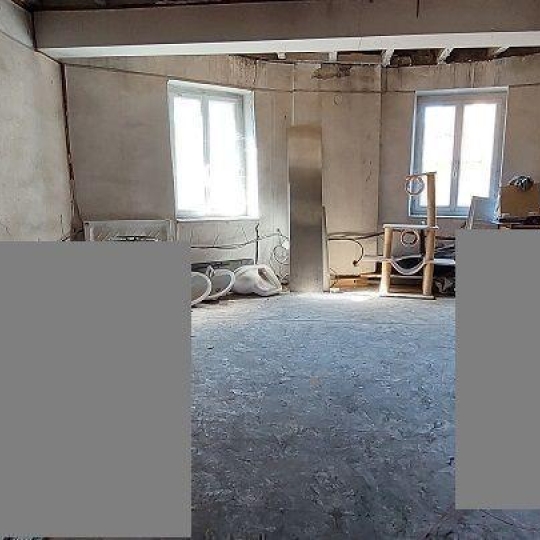  DUCASTEL IMMOBILIER : Immeuble | CRECHES-SUR-SAONE (71680) | 280 m2 | 200 000 € 