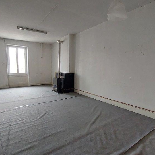  DUCASTEL IMMOBILIER : Appartement | SAINT-LAURENT-SUR-SAONE (01750) | 100 m2 | 110 000 € 