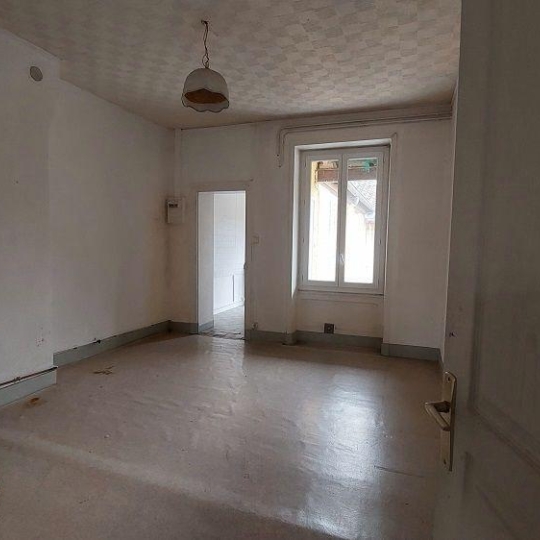  DUCASTEL IMMOBILIER : Appartement | SAINT-LAURENT-SUR-SAONE (01750) | 100 m2 | 110 000 € 