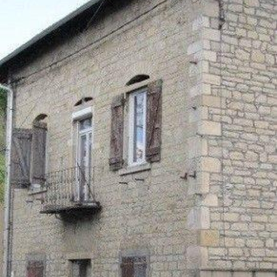  DUCASTEL IMMOBILIER : House | JASSANS-RIOTTIER (01480) | 290 m2 | 470 000 € 