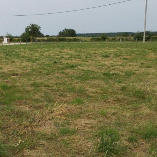  DUCASTEL IMMOBILIER : Terrain | CHEVROUX (01190) | 0 m2 | 85 000 € 