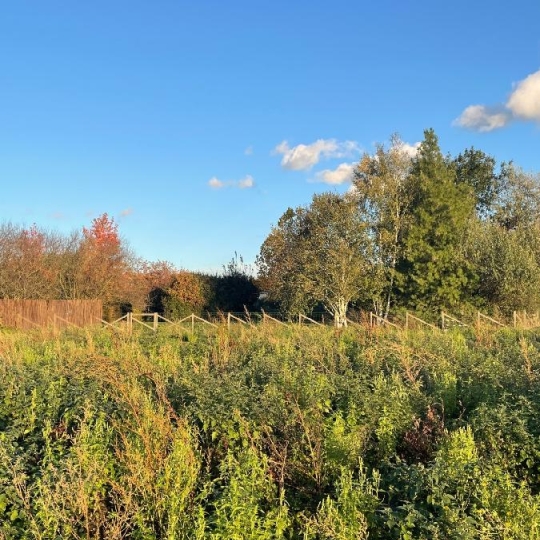  Annonces MACON : Terrain | FEILLENS (01570) | 0 m2 | 110 &euro; 