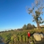  Annonces MACON : Terrain | FEILLENS (01570) | 0 m2 | 110 &euro; 
