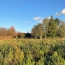  Annonces MACON : Terrain | FEILLENS (01570) | 0 m2 | 110 &euro; 