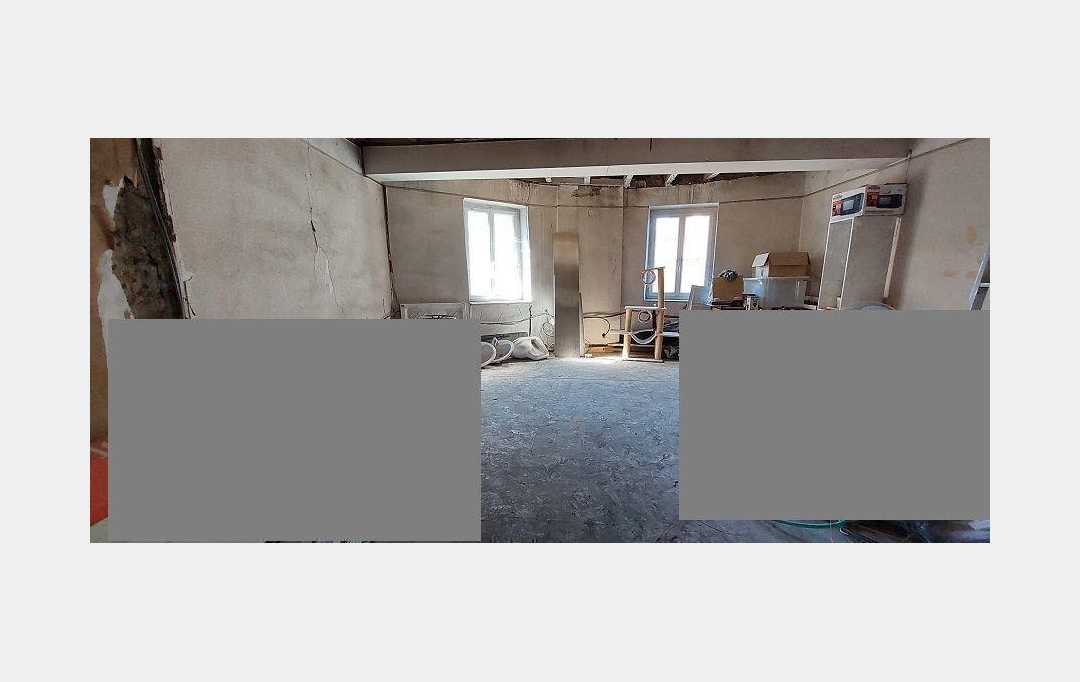 DUCASTEL IMMOBILIER : Immeuble | CRECHES-SUR-SAONE (71680) | 280 m2 | 200 000 € 