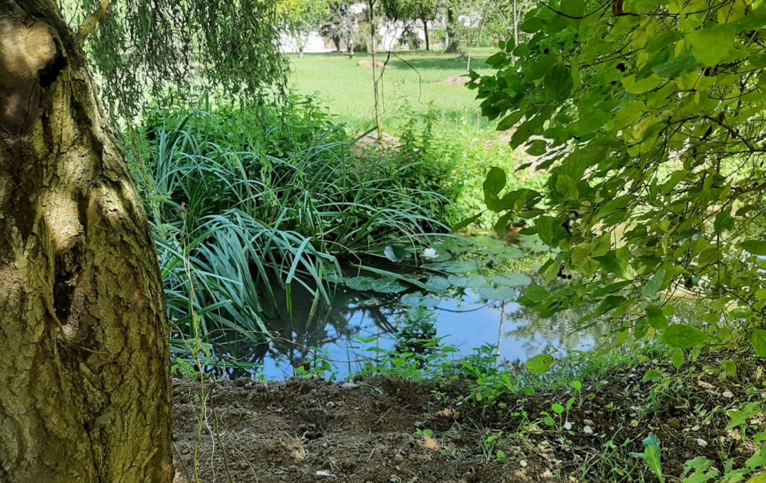 DUCASTEL IMMOBILIER : Maison / Villa | MACON (71000) | 208 m2 | 360 000 € 