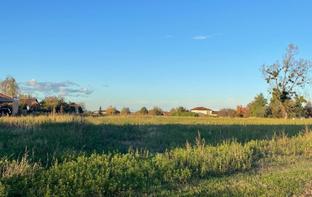 Annonces MACON : Terrain | FEILLENS (01570) | 0 m2 | 110 &euro; 