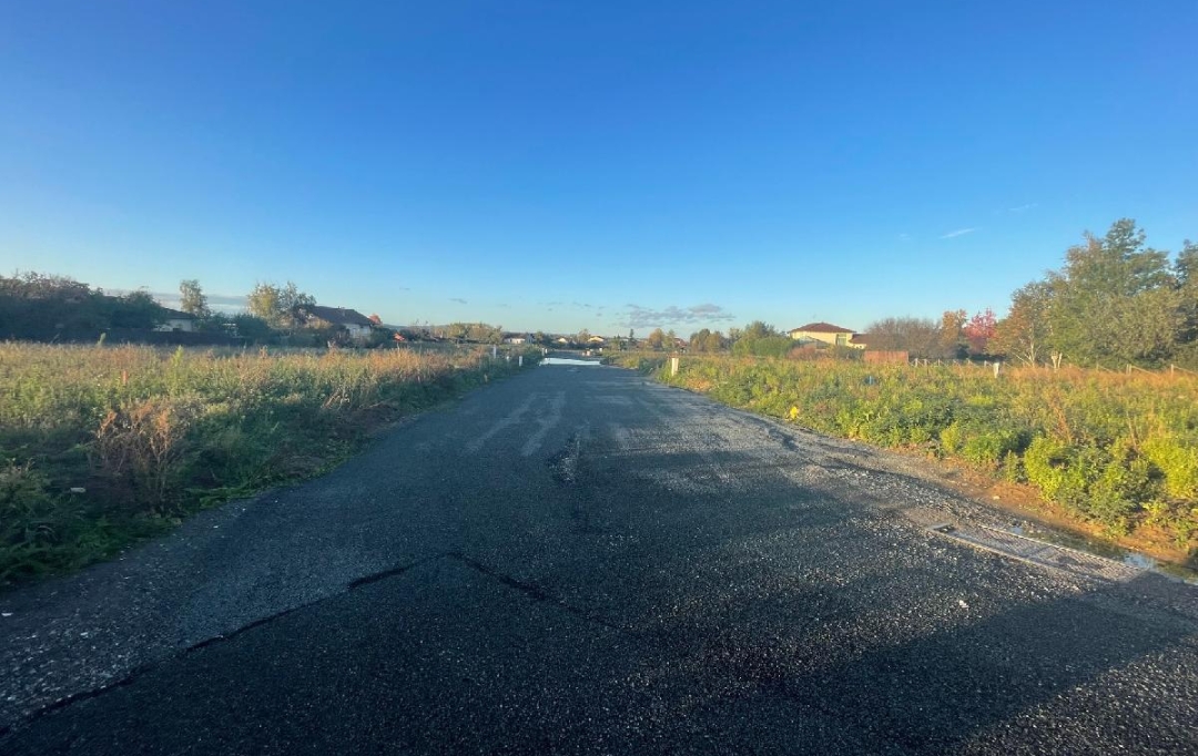 Annonces MACON : Terrain | FEILLENS (01570) | 0 m2 | 110 &euro; 
