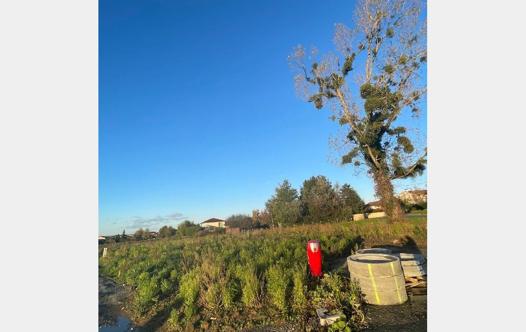 Annonces MACON : Terrain | FEILLENS (01570) | 0 m2 | 110 &euro; 
