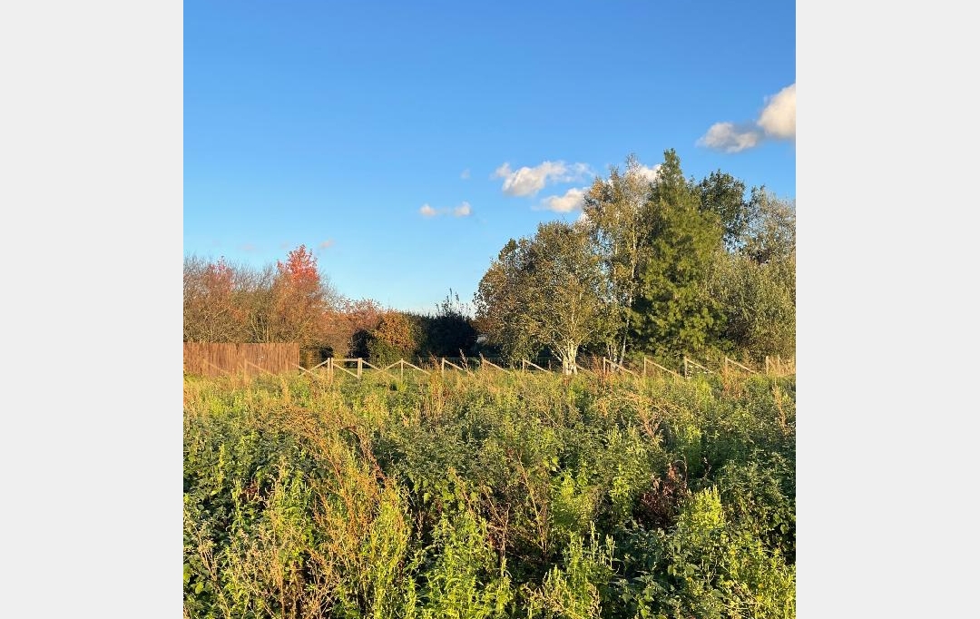 Annonces MACON : Terrain | FEILLENS (01570) | 0 m2 | 110 &euro; 