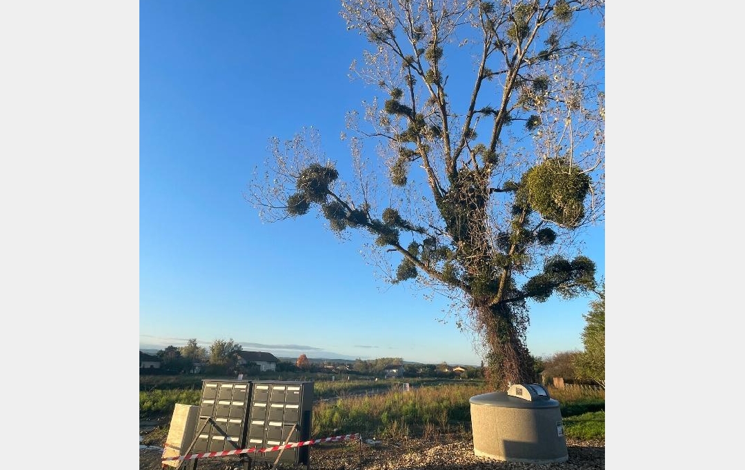 Annonces MACON : Terrain | FEILLENS (01570) | 0 m2 | 110 &euro; 