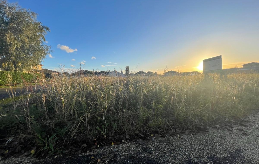 Annonces MACON : Terrain | FEILLENS (01570) | 0 m2 | 110 &euro; 