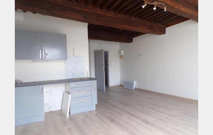  DUCASTEL IMMOBILIER Appartement | MACON (71000) | 45 m2 | 435 € 