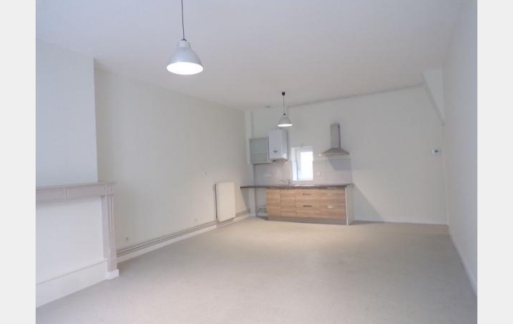  DUCASTEL IMMOBILIER Appartement | MACON (71000) | 101 m2 | 590 € 