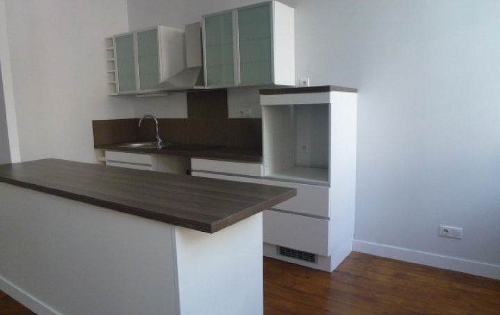  DUCASTEL IMMOBILIER Appartement | MACON (71000) | 79 m2 | 672 € 