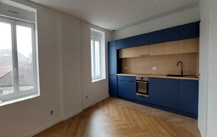  DUCASTEL IMMOBILIER Appartement | SAINT-LAURENT-SUR-SAONE (01750) | 92 m2 | 900 € 