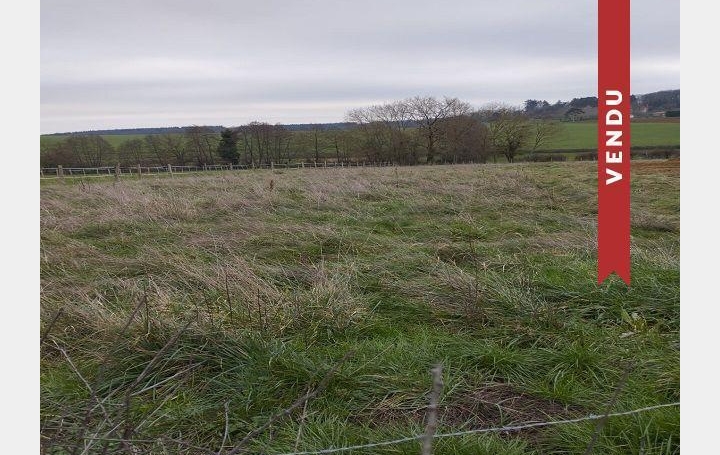  DUCASTEL IMMOBILIER Terrain | SAINT-MAURICE-DE-SATONNAY (71260) | 0 m2 | 79 000 € 