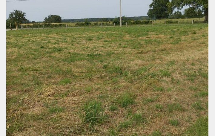  DUCASTEL IMMOBILIER Terrain | CHEVROUX (01190) | 0 m2 | 99 000 € 