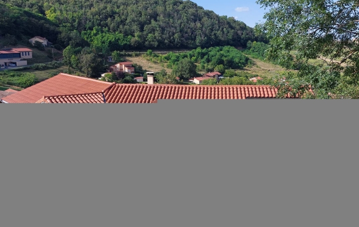  DUCASTEL IMMOBILIER Maison / Villa | VILLEFRANCHE-SUR-SAONE (69400) | 225 m2 | 695 000 € 