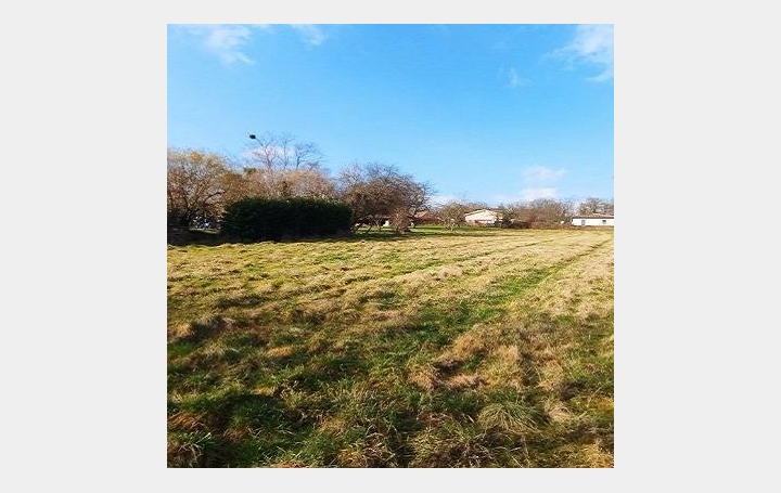  DUCASTEL IMMOBILIER Terrain | LAIZE (71870) | 0 m2 | 160 000 € 